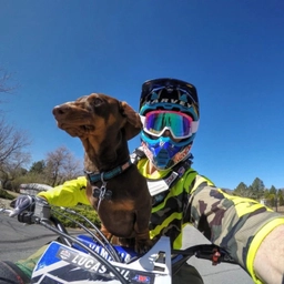 Аватар группы «МОТО ПОКАТУШКИ»