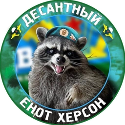 Аватар канала «Енот Херсон🦝»