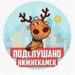 Аватар группы «Нижнекамск»