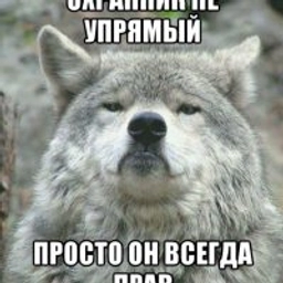 Аватар группы «ВАКАНСИИ В ОХРАНЕ»