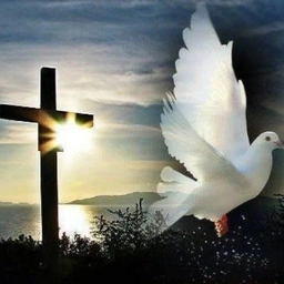 Аватар канала «Христианские стихи»