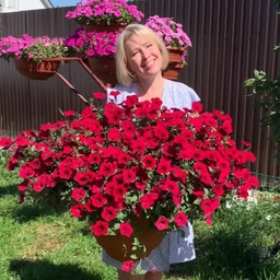 Аватар канала «Петунии СамаМогу»