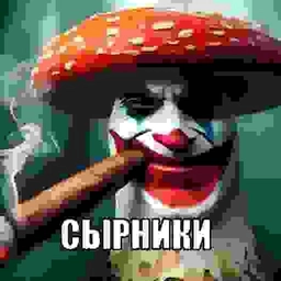 Аватар группы «гипершиз крейзи джоукс»