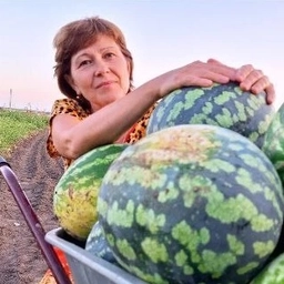 Аватар канала «ЖИЗНЬ НА ЮГЕ»