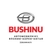 Аватар канала «BUSHINUAUTO»