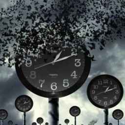 Аватар канала «Цитаты жизни»