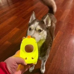 Аватар группы «T2x2»