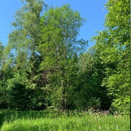 Аватар канала «Земельные споры / ZemelnyeSpory»