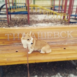 Аватар канала «Тимашевск Новости»