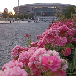 Аватар группы «Донецкая группа новостей»