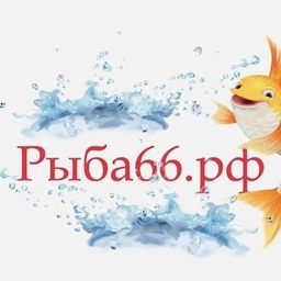 Аватар канала «Рыба66 Екб»
