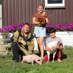 Аватар канала «РожинТВ»