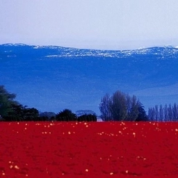 Аватар канала «Россия Молодая»