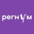 Аватар канала «Регнум»