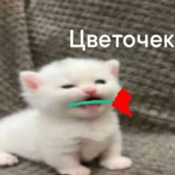 Аватар группы «уголок общения»