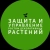 Аватар канала «Защита и управление ростом декоративных растений»