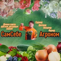 Аватар канала «СамСебеАгроном»