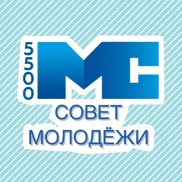 Аватар канала «Совет молодежи ФНС_55»