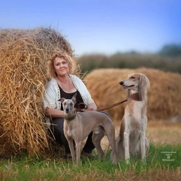 Аватар канала «Лытдыбр»