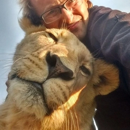 Аватар канала «Living with lions»