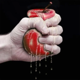 Аватар канала «Wylsacom Red»