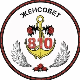 Аватар канала «Женсовет 810»