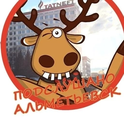 Аватар группы «TikTok Mod»