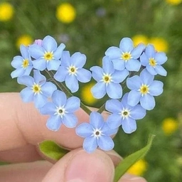 Аватар канала «Психология LIVE»