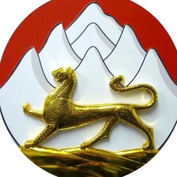 Аватар канала «Alania online»