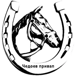 Аватар канала «Алтай: конюшня, глэмпинг»