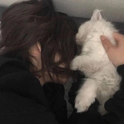 Аватар канала «speed songs / Парные авы / темы тг»