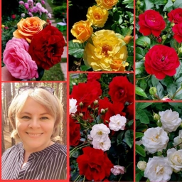 Аватар канала «Цветочница Анюта🌹»