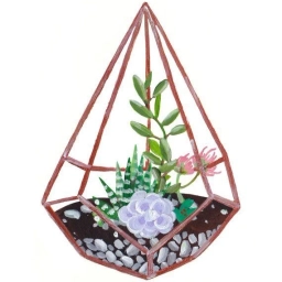 Аватар канала «Антон - цветочник»