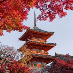 Аватар канала «По Азии с любовью | Тревел | Туризм | Гид | Блог Путешествия Таиланд Китай Япония Малайзия Сингапур Индонезия Вьетнам Шри-Ланка Гонконг Бали Индия Корея Сеул Филиппины Лаос Тайвань Пекин Токио Азия»