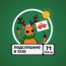 Аватар канала «Подслушано у водителей в Туле»