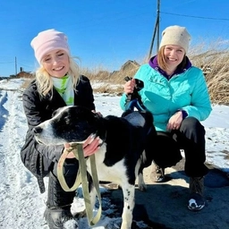 Аватар канала «Приют для животных "Добрые руки"»