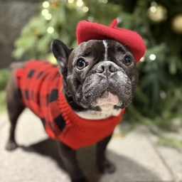 Аватар канала «Бароша-скейтер»