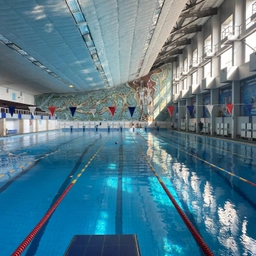 Аватар канала «Бассейн Серов»