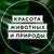 Аватар канала «Красота животных и природы»