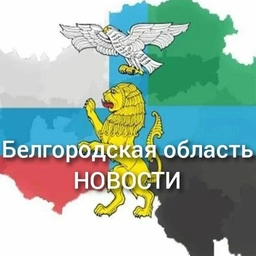 Аватар канала «Белгород НОВОСТИ»