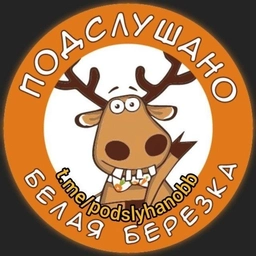 Аватар канала «Подслушано Белая Березка»
