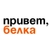Аватар канала «Белка | Белая Калитва»