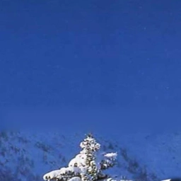 Аватар канала «Биатлон | Лыжные гонки | Лыжи | ОИ 2026 | Олимпиада 2026»