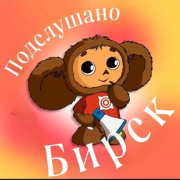 Аватар канала «Подслушано Бирск👂Новости города»