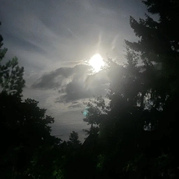 Аватар канала «Вестник родимых болот»