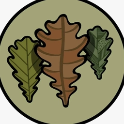 Аватар канала «Студия бонсай»