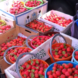 Аватар канала «ВКУСНЫЙ ОГОРОД»