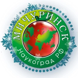 Аватар канала «Администрация города Мичуринска»