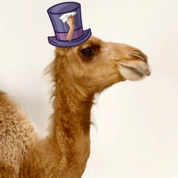 Аватар канала «Челябушка»