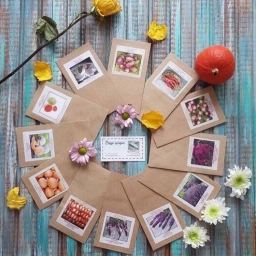 Аватар канала «Чудогрядка.рф | Сад. Огород»